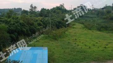 重庆合川区70亩农场使用权出租