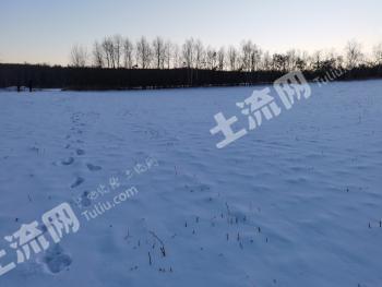 呼伦贝尔鄂伦春自治旗80亩旱地经营权转让