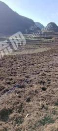 毕节赫章县 300亩 旱地 经营权出租