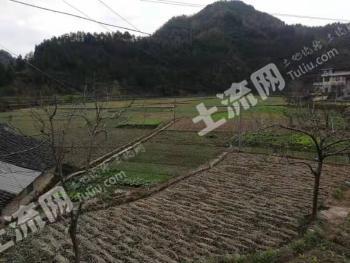 广元旺苍县 2000亩 旱地 经营权出租