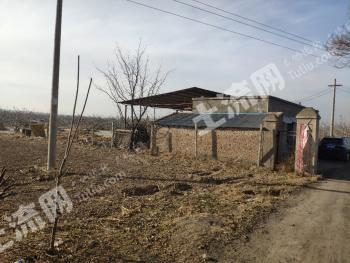 运城河津市 50亩 水浇地 出租