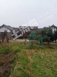 绵阳安州区90亩果园经营权转让