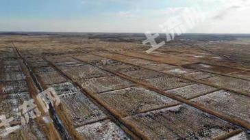 齐齐哈尔依安县3000亩水田经营权出租