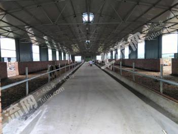 赤峰宁城县 23亩 畜牧养殖用地经营权 转让