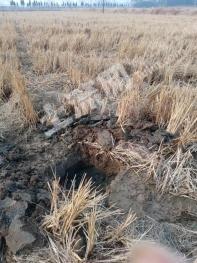 安庆太湖县 1000亩 水田 经营权出租