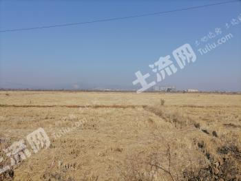 安徽安庆大观区1000亩的水田经营权出租