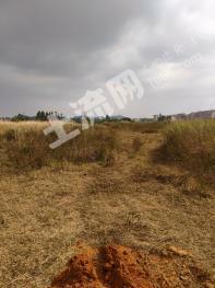 汕尾陆丰市150亩其它耕地经营权出租