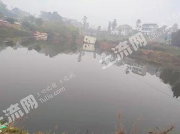 内江隆昌市30亩水库经营权出租