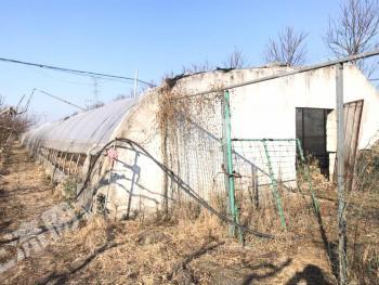 阜阳颍泉区8亩耕地-有设施大棚临近主干道经营权出租