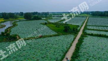 信阳光山县 500亩 水田 经营权出租