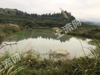 郴州资兴市 80亩 综合养殖用地 经营权出租