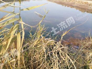 黄冈黄梅县 80亩 坑塘 经营权出租