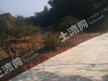 益陽(yáng)沅江市300平米農(nóng)村宅基地使用權(quán)出租或合作