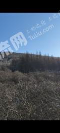 忻州静乐县 4214.85亩 荒山 出租
