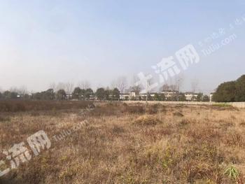 仙桃市 60亩 工业用地 使用权转让