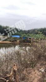 玉林兴业县 25亩 综合养殖用地 经营权出租