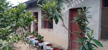 益陽(yáng)沅江市120平米農(nóng)村宅基地使用權(quán)出租