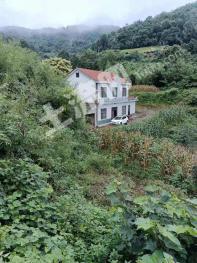 宜昌五峰土家族自治县 140平米 农家庭院 使用权出租