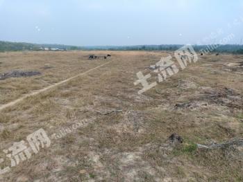 海南文昌市 200亩 其它耕地经营权 出租