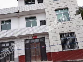 株洲攸县260平米农家庭院使用权出租