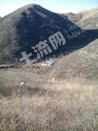 保定满城区 154亩 有林地 转让