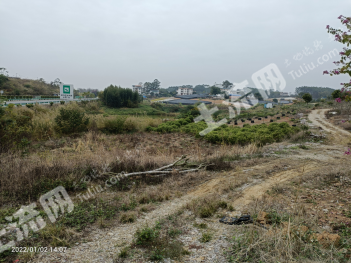 南宁兴宁区 580.65亩 其它林地 出租
