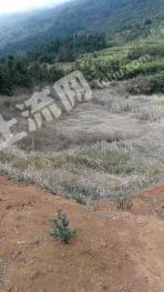 郴州临武县50亩旱地 经营权出租