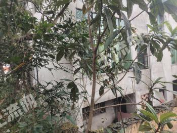 益陽(yáng)赫山區(qū) 148平米 農(nóng)村宅基地 使用權(quán)出租