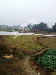 绵阳安州区 800亩 水田 经营权出租