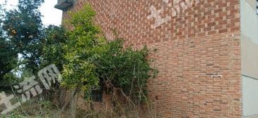 益阳沅江市 240平米 农家庭院 使用权出租