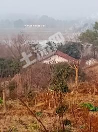 荊門(mén)沙洋縣150平方米農(nóng)村宅基地使用權(quán)出租