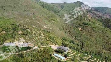 漳州南靖县 2626亩 乔木林地 经营权出租