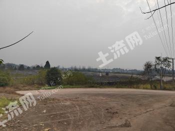 南充高坪区 185亩 水田 经营权出租