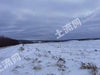 呼伦贝尔海拉尔区 15000亩 旱地 经营权出租