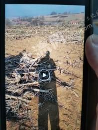 丹东东港市 600亩 旱地 经营权出租