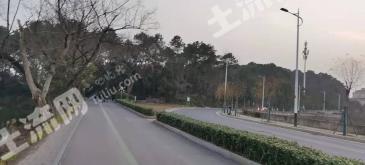 岳阳华容县 110亩 有林地 经营权转让