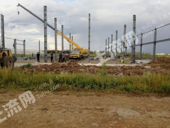 大庆大同区500亩设施农用地 经营权转让