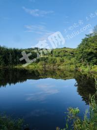 哈尔滨通河县150亩综合养殖用地经营权转让