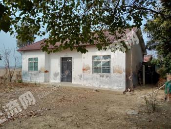 荊門沙洋縣 150平米 農(nóng)村宅基地 使用權(quán)出租