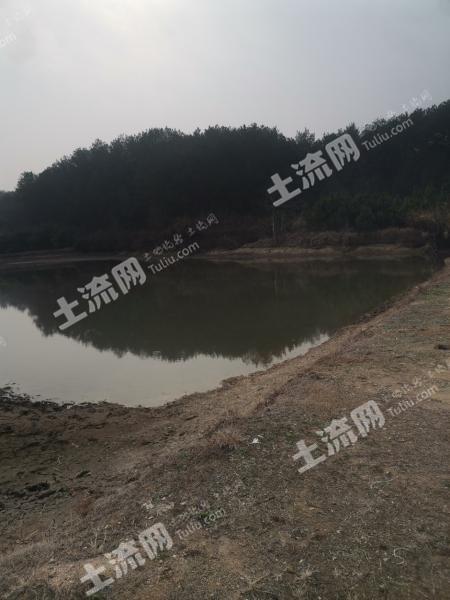 黄冈浠水县 50亩 坑塘水面 经营权出租