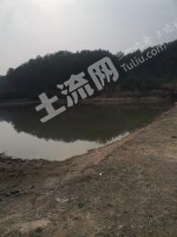 黄冈浠水县 50亩 坑塘水面 经营权出租