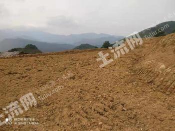 清远阳山县 2710亩 其它林地 经营权出租