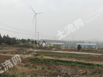 徐州邳州市 800亩 综合养殖用地 经营权转让