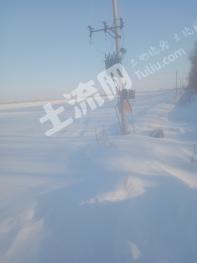 双鸭山宝清县 280亩 水田 经营权出租