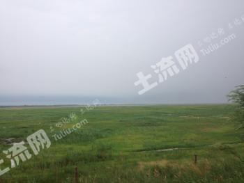 松原乾安县 1140.64亩 旱地 经营权出租