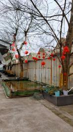 资阳乐至县 80000平米 综合用地使用权转让