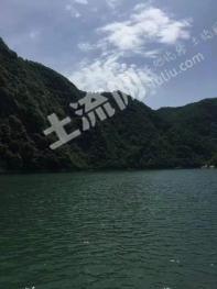 襄阳市谷城县 1600亩 其它林地 经营权出租或转让