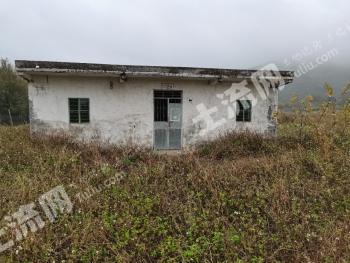江门台山市10亩旱地经营权出租，近水源，交通方便