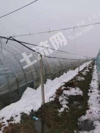 南阳唐河县 17亩 菜园 经营权出租