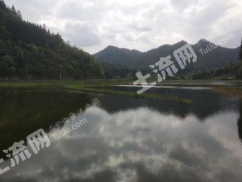 遵义湄潭县 270亩 水产养殖用地 经营权出租